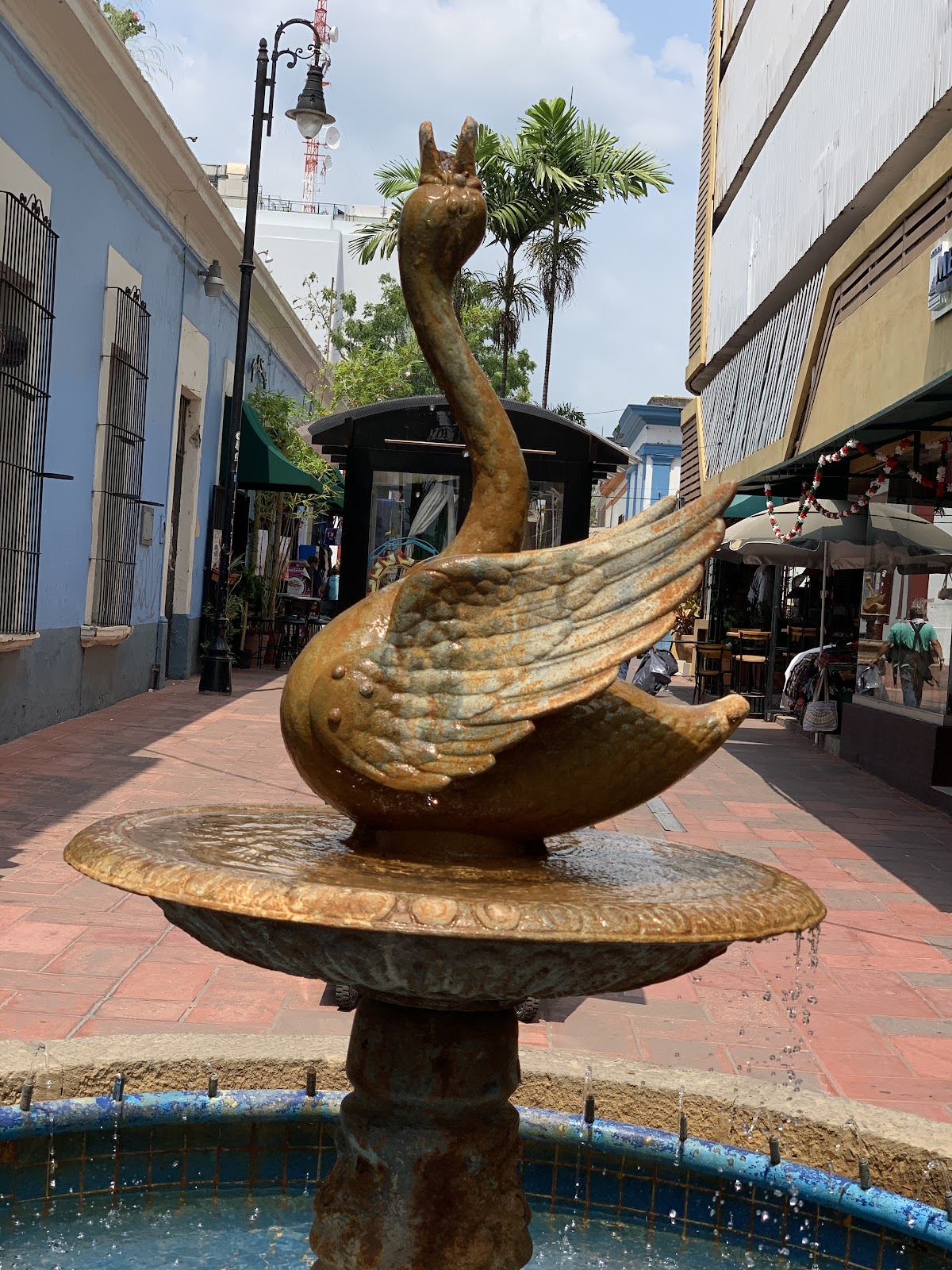 leetx-google-photo-47223-4 leetx-google-photo-47223-4