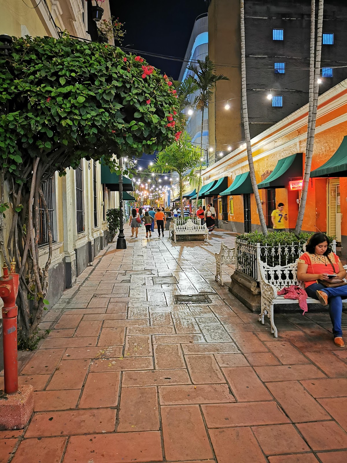 leetx-google-photo-47223-5 leetx-google-photo-47223-5