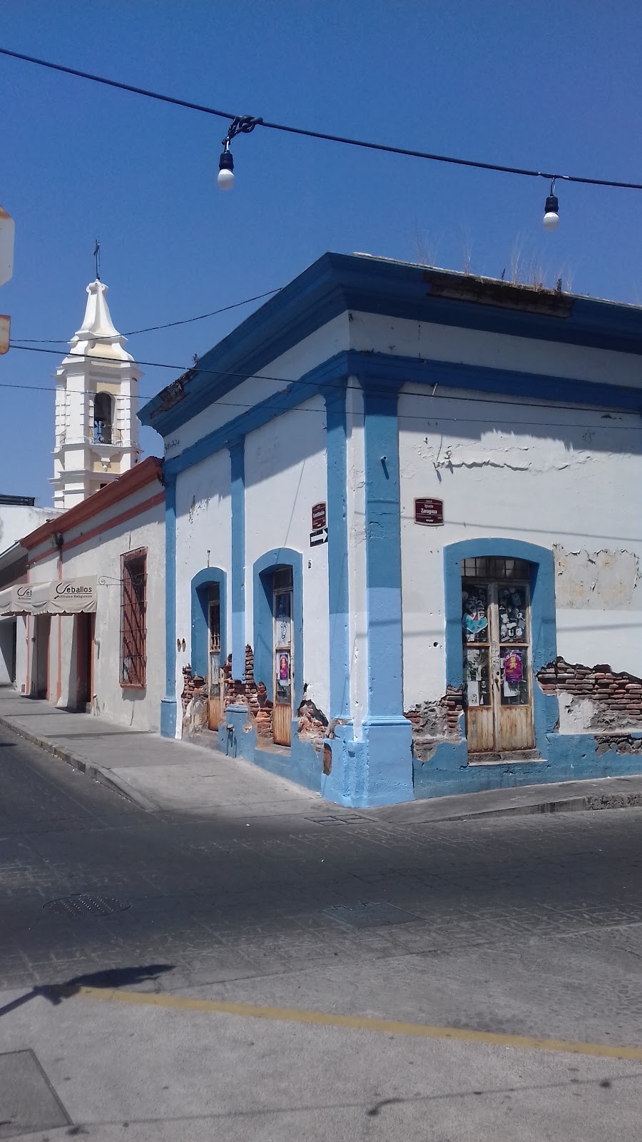 leetx-google-photo-47223-7 leetx-google-photo-47223-7