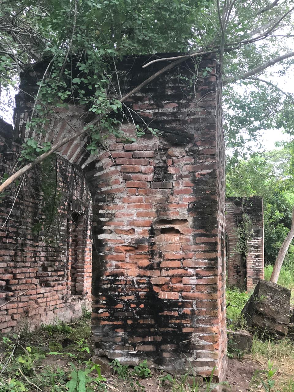 leetx-google-photo-47339-4 leetx-google-photo-47339-4