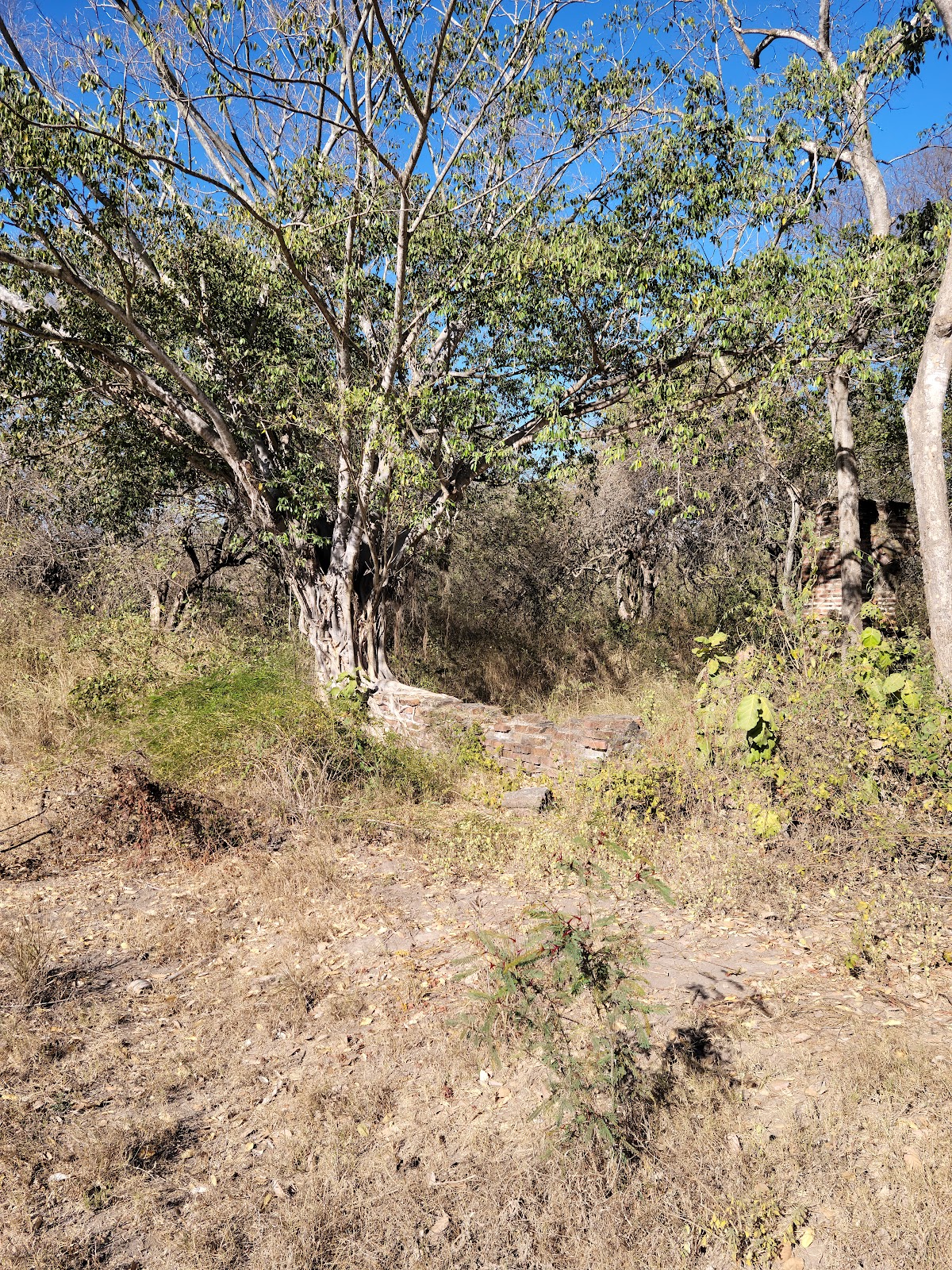 leetx-google-photo-47339-5 leetx-google-photo-47339-5