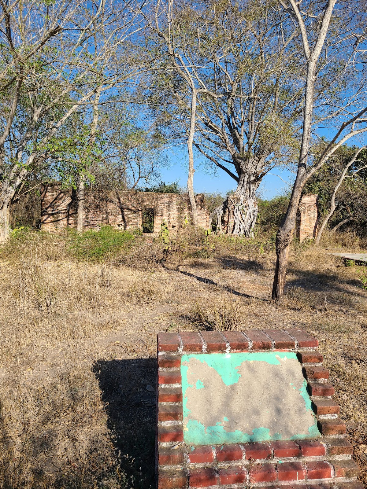 leetx-google-photo-47339-7 leetx-google-photo-47339-7