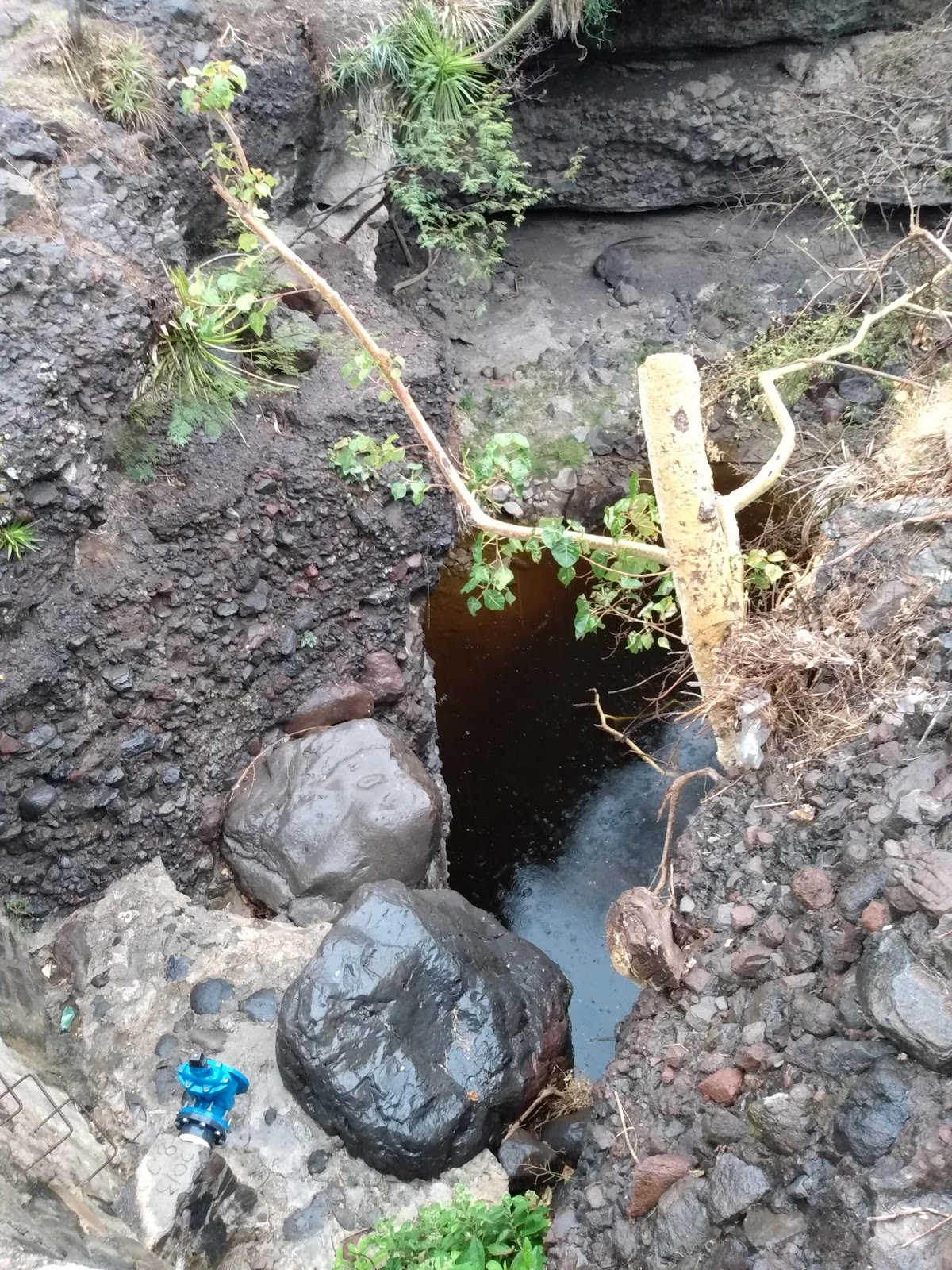 leetx-google-photo-47354-3 leetx-google-photo-47354-3