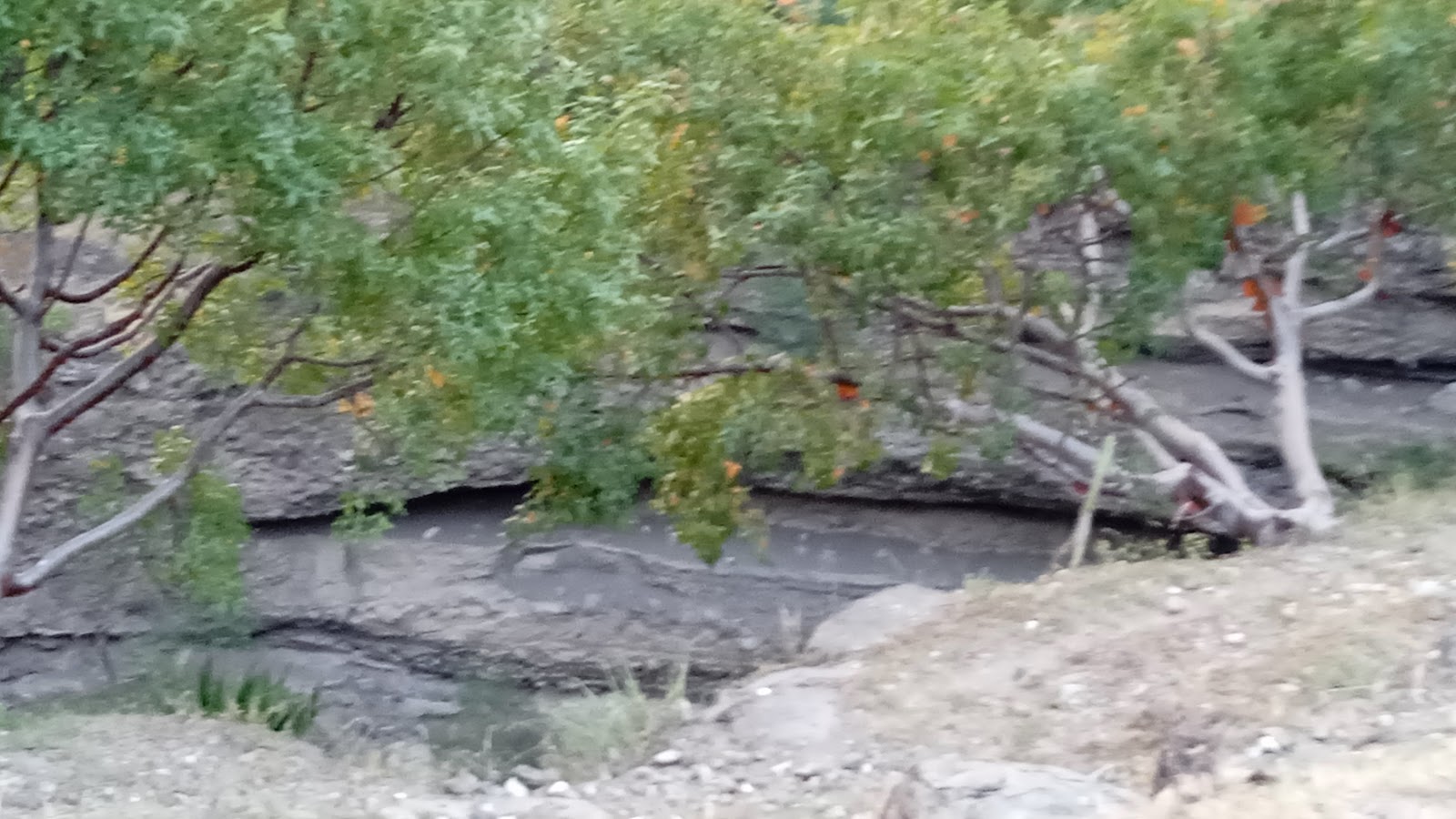 leetx-google-photo-47354-6 leetx-google-photo-47354-6