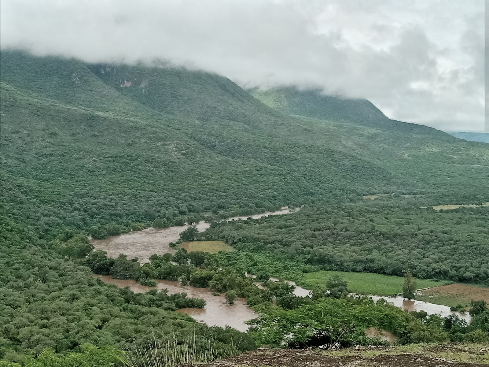 leetx-google-photo-47354-7 leetx-google-photo-47354-7