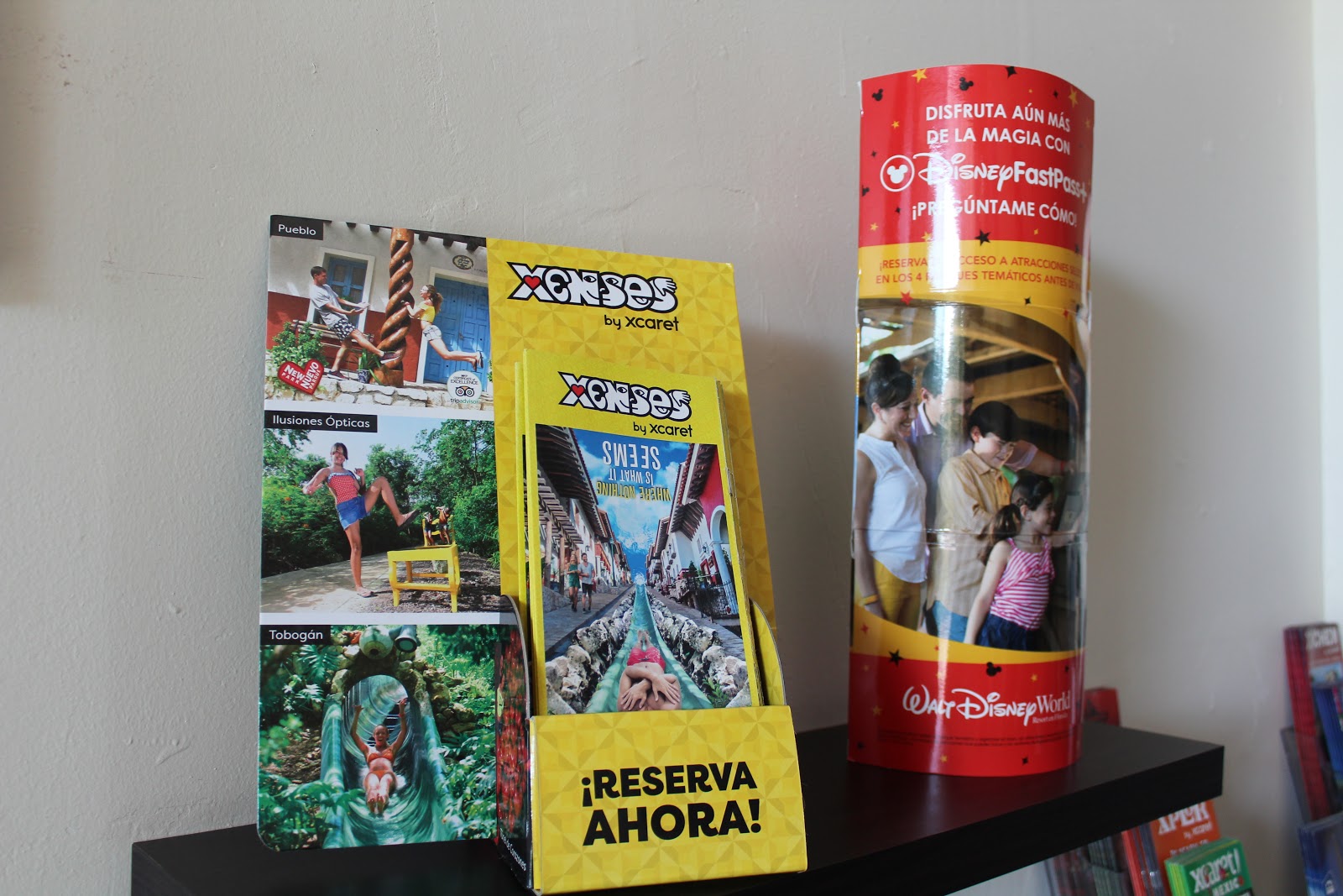 leetx-google-photo-47456-4 leetx-google-photo-47456-4