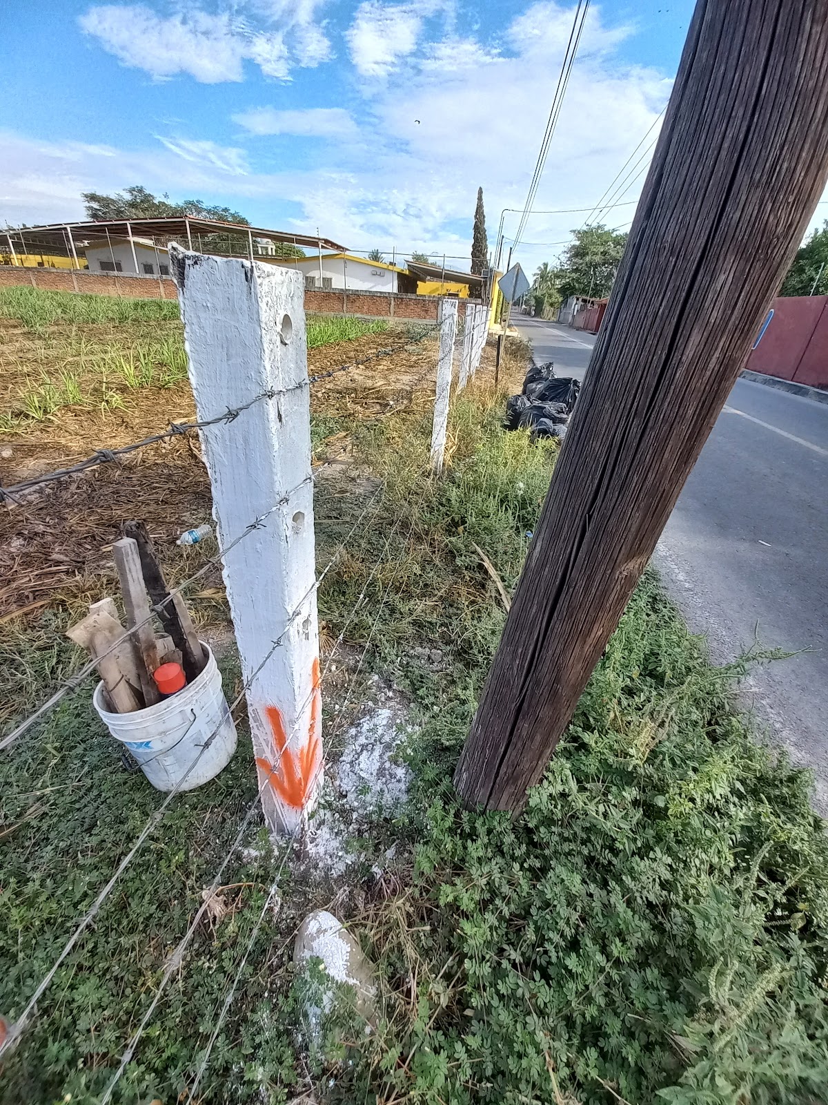 leetx-google-photo-47719-6 leetx-google-photo-47719-6