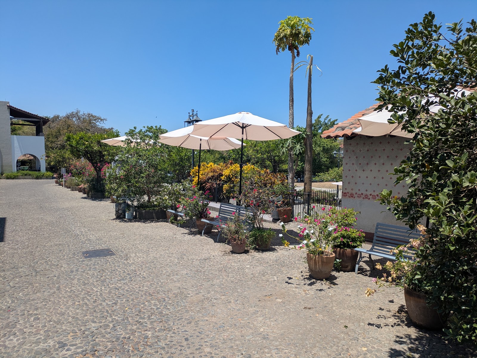 leetx-google-photo-47979-4 leetx-google-photo-47979-4