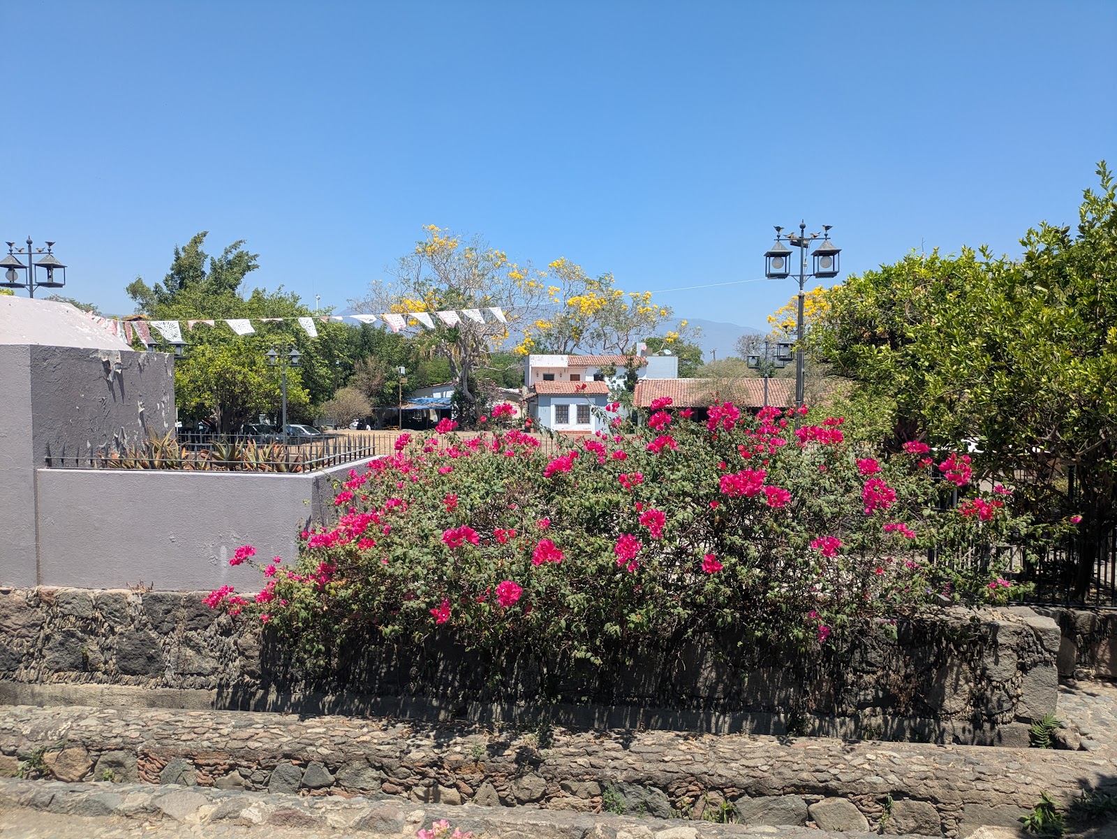 leetx-google-photo-47979-8 leetx-google-photo-47979-8