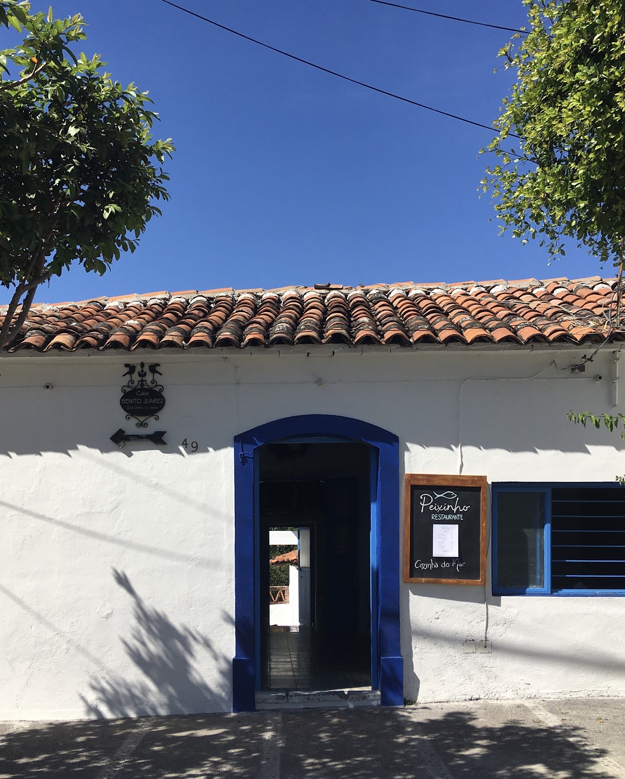 leetx-google-photo-48333-4 leetx-google-photo-48333-4