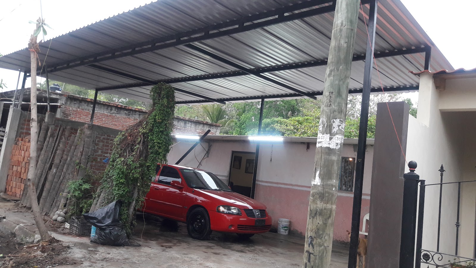 leetx-google-photo-48718-3 leetx-google-photo-48718-3