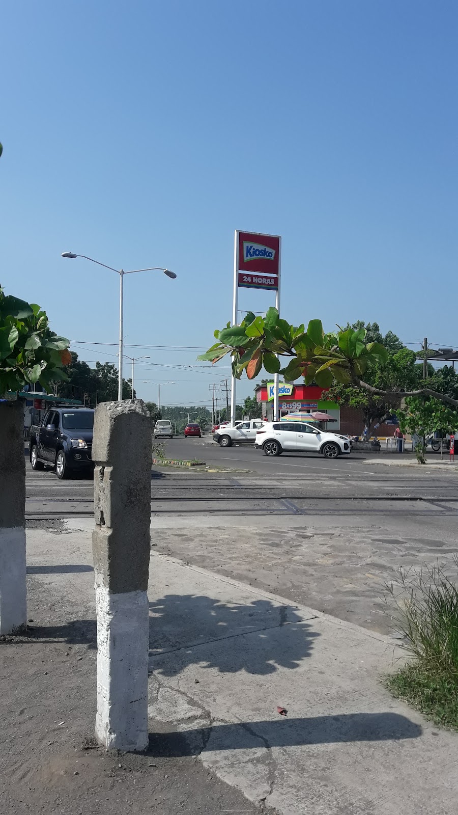 leetx-google-photo-48835-2 leetx-google-photo-48835-2