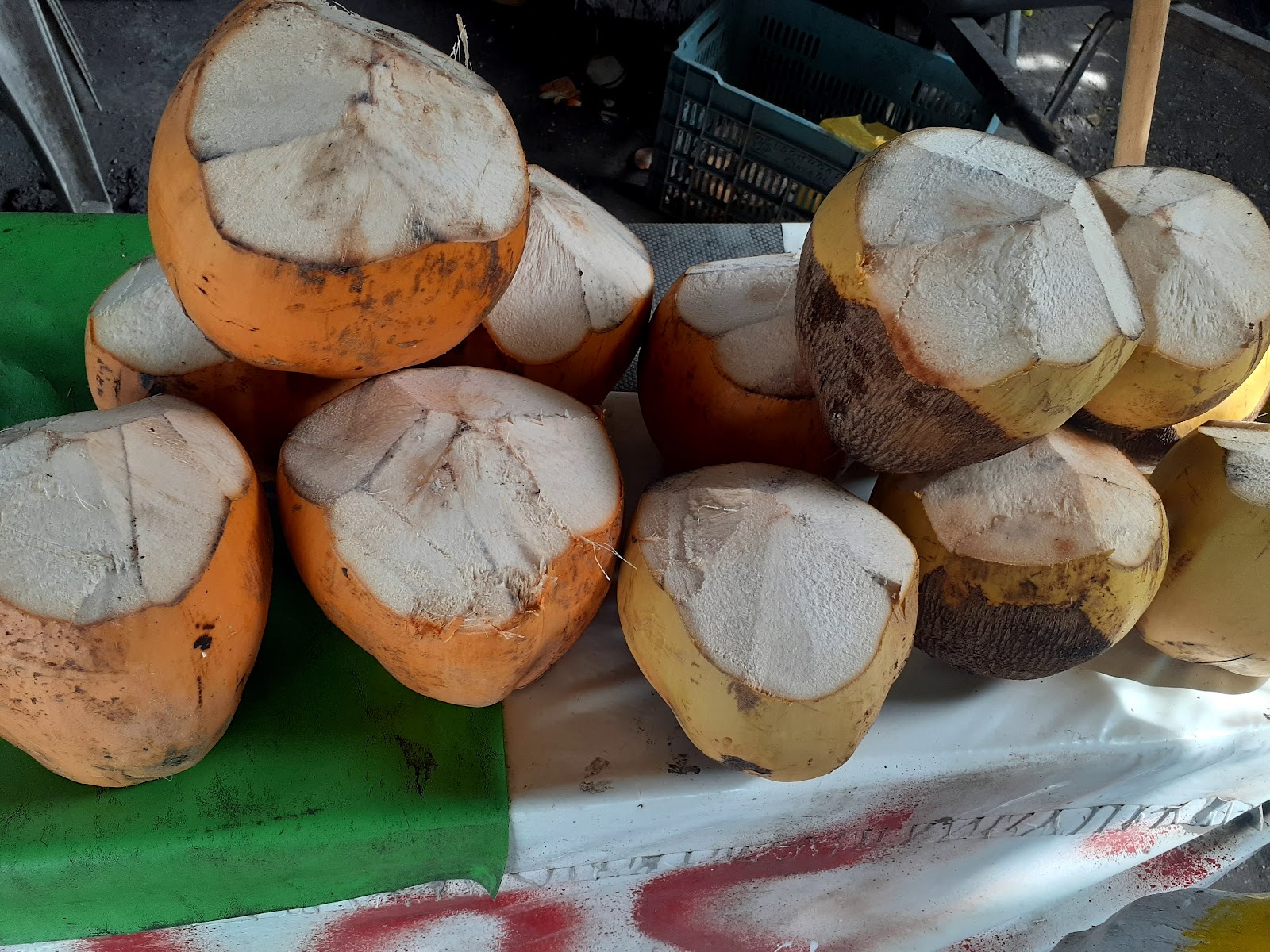 leetx-google-photo-48983-5 leetx-google-photo-48983-5