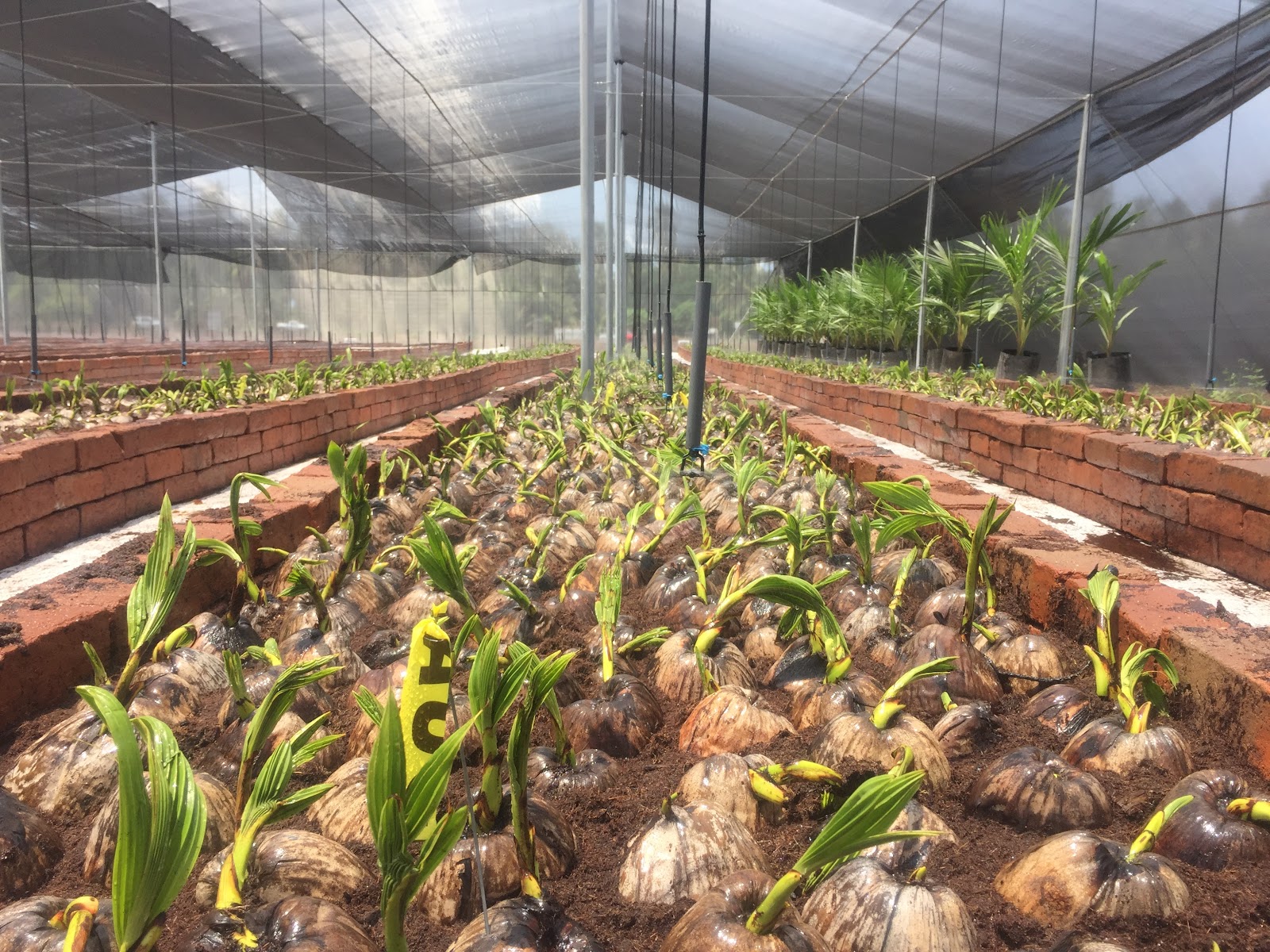 leetx-google-photo-49094-2 leetx-google-photo-49094-2