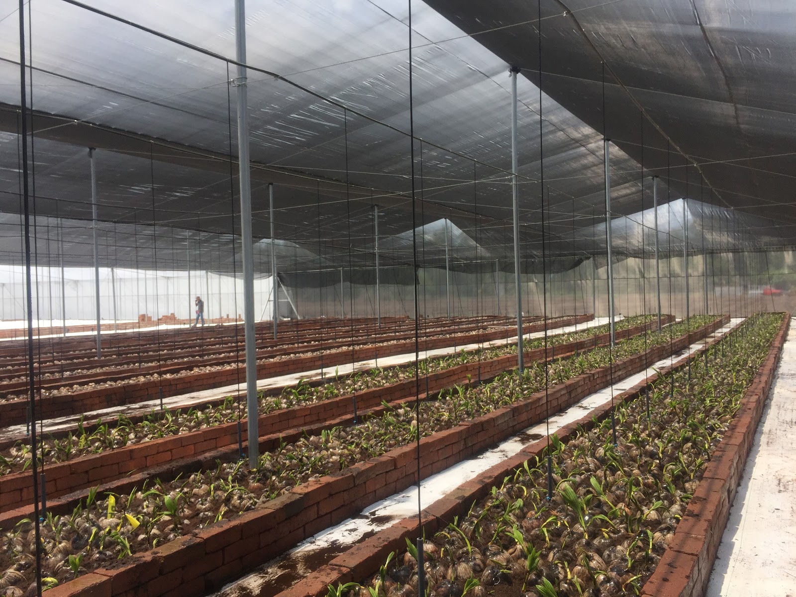 leetx-google-photo-49094-8 leetx-google-photo-49094-8