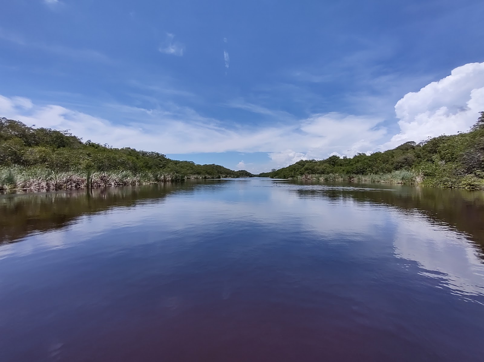 leetx-google-photo-49149-6 leetx-google-photo-49149-6