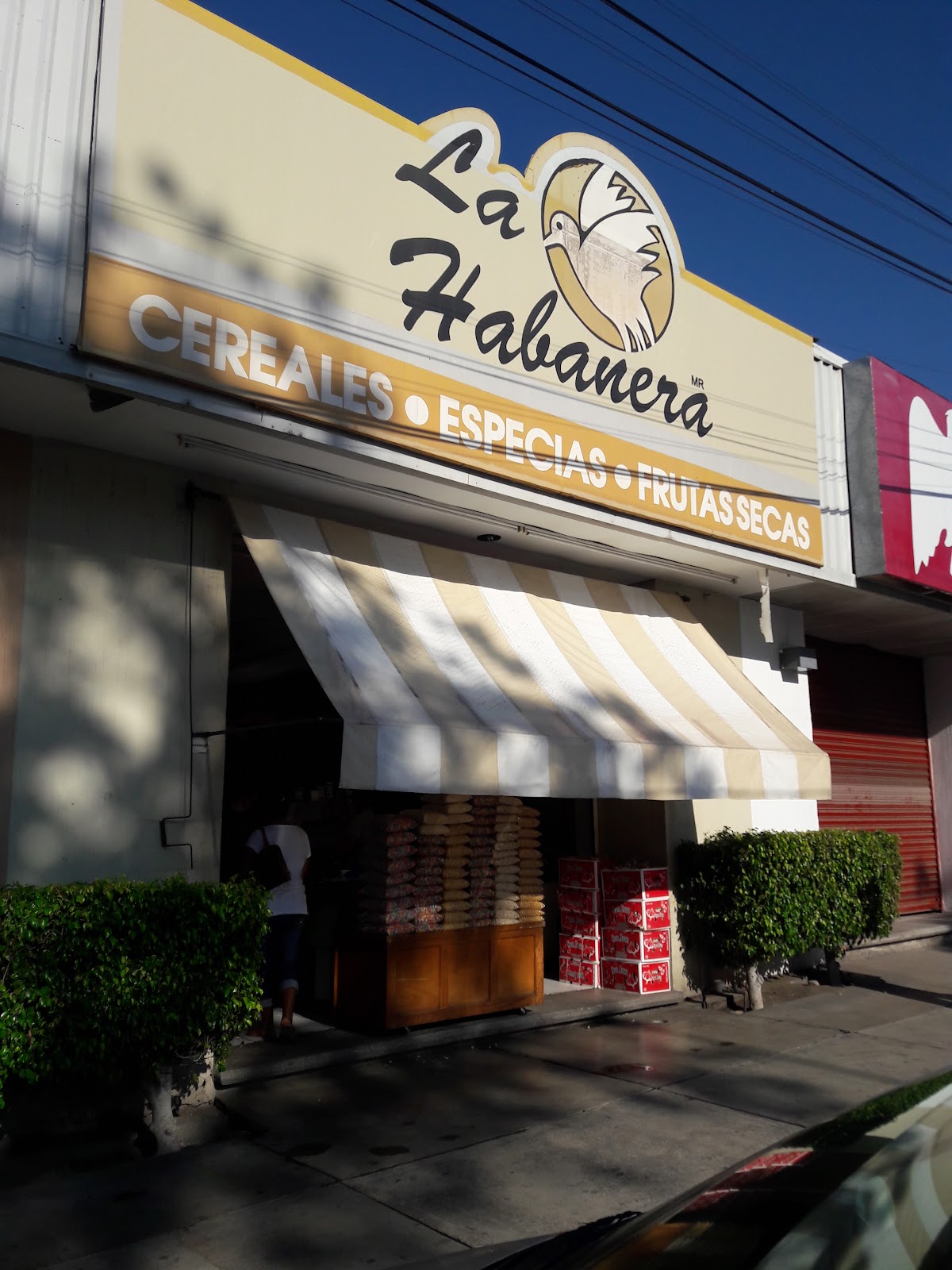 leetx-google-photo-49488-2 leetx-google-photo-49488-2