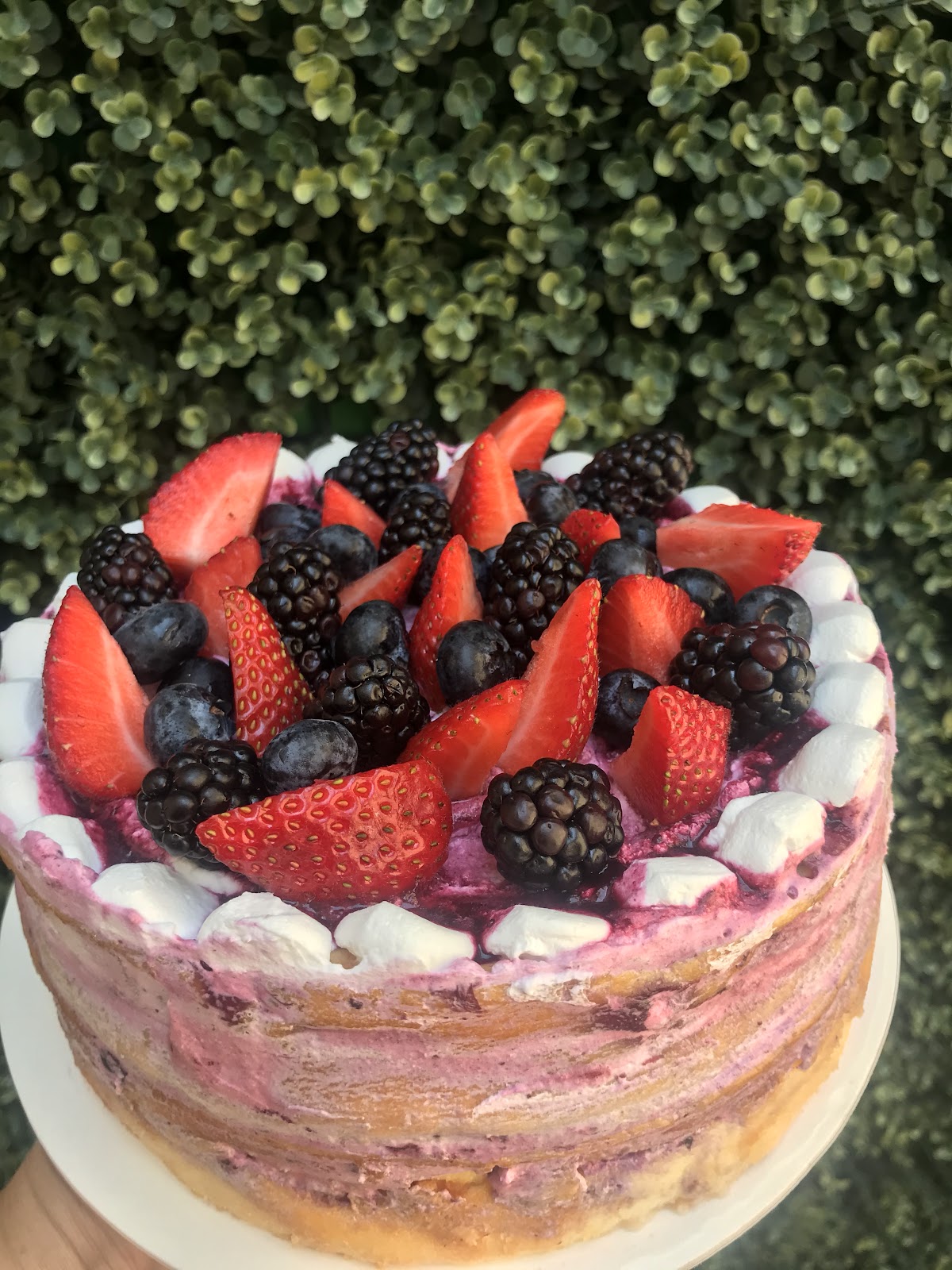 leetx-google-photo-49655-7 leetx-google-photo-49655-7