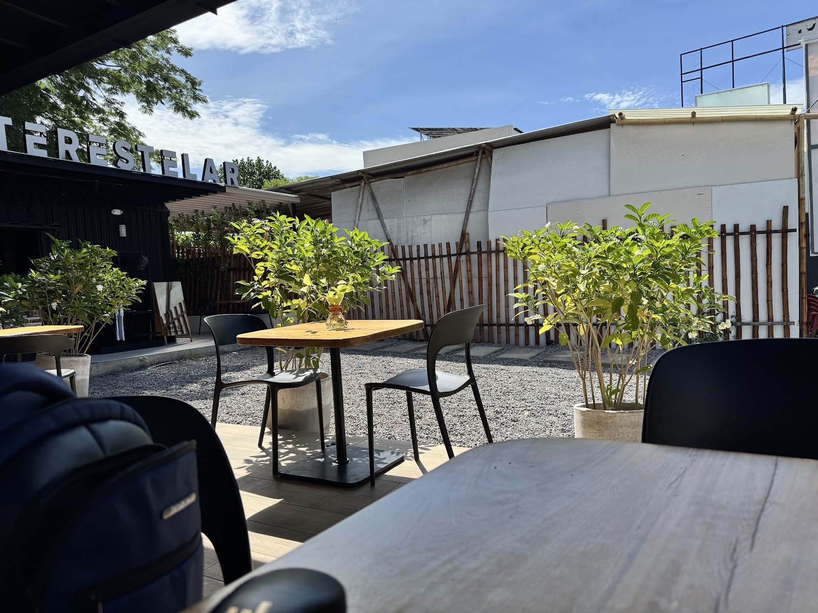 leetx-google-photo-49666-5 leetx-google-photo-49666-5