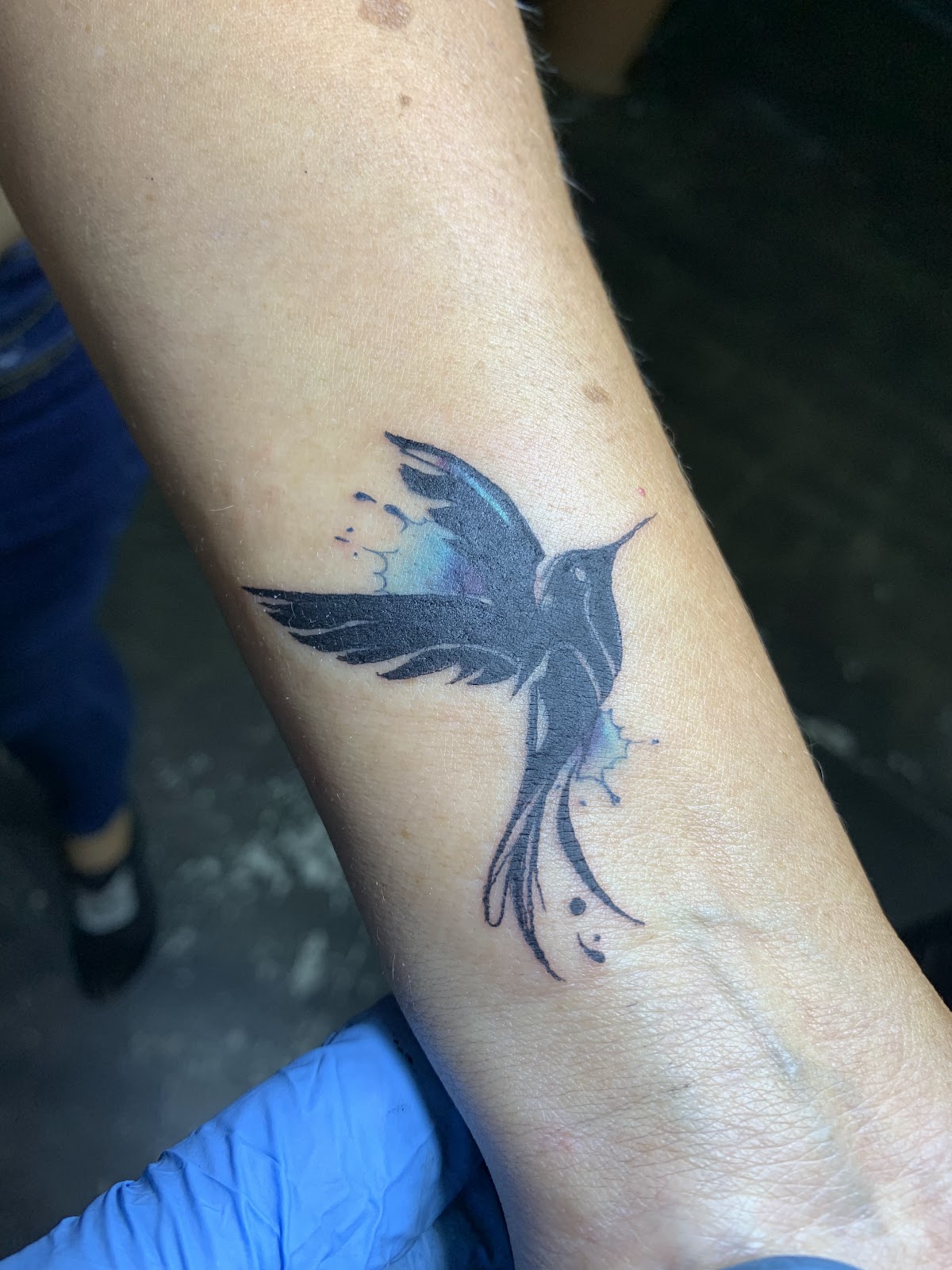 leetx-google-photo-49831-4 leetx-google-photo-49831-4