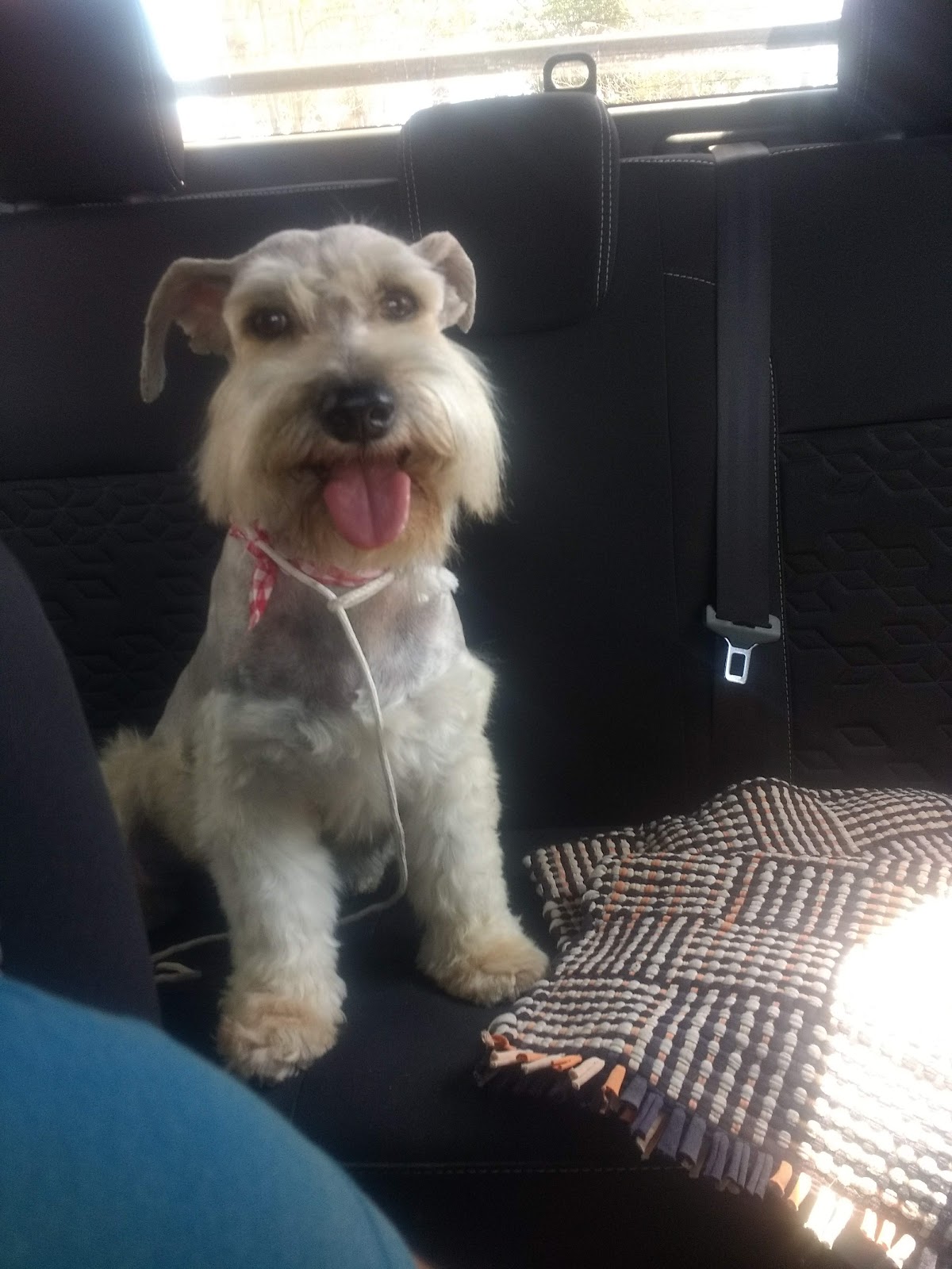 leetx-google-photo-49904-2 leetx-google-photo-49904-2