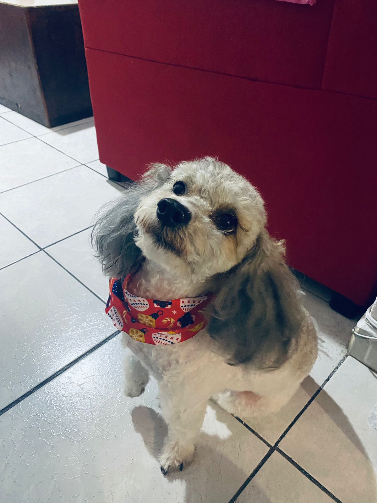 leetx-google-photo-49904-3 leetx-google-photo-49904-3