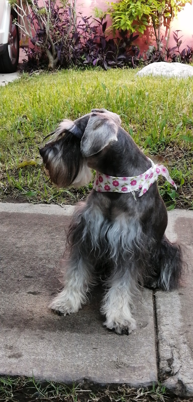 leetx-google-photo-49904-4 leetx-google-photo-49904-4