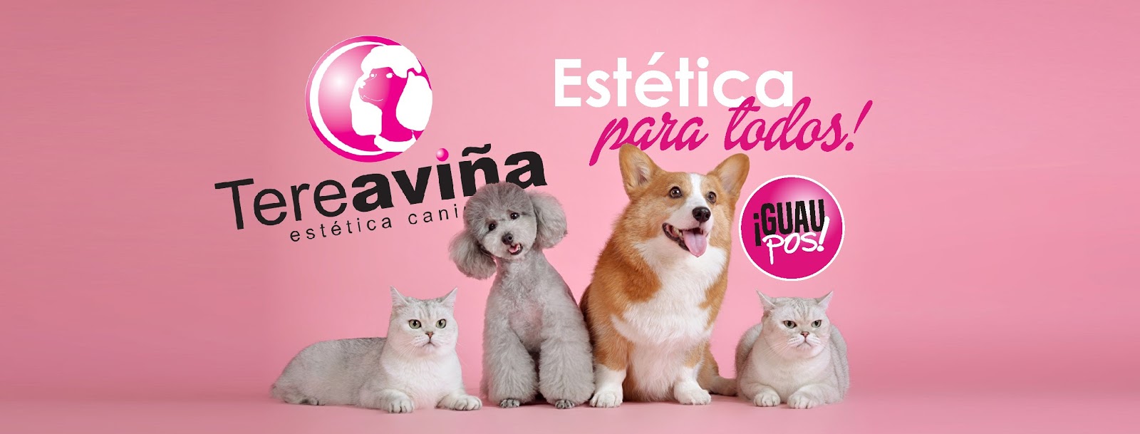 leetx-google-photo-49904-5 leetx-google-photo-49904-5