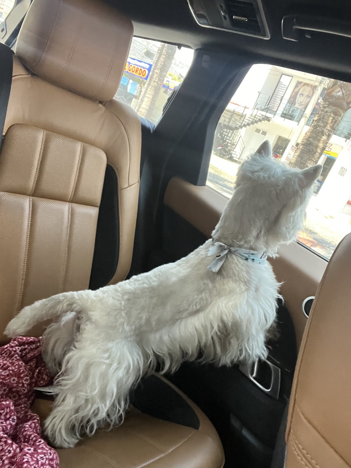 leetx-google-photo-49904-6 leetx-google-photo-49904-6