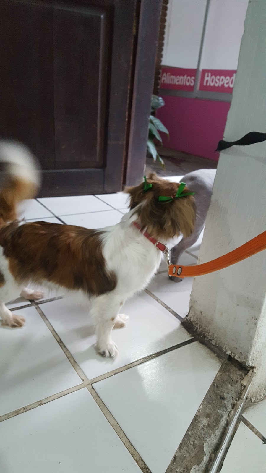 leetx-google-photo-49904-7 leetx-google-photo-49904-7