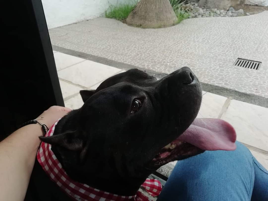 leetx-google-photo-49904-8 leetx-google-photo-49904-8