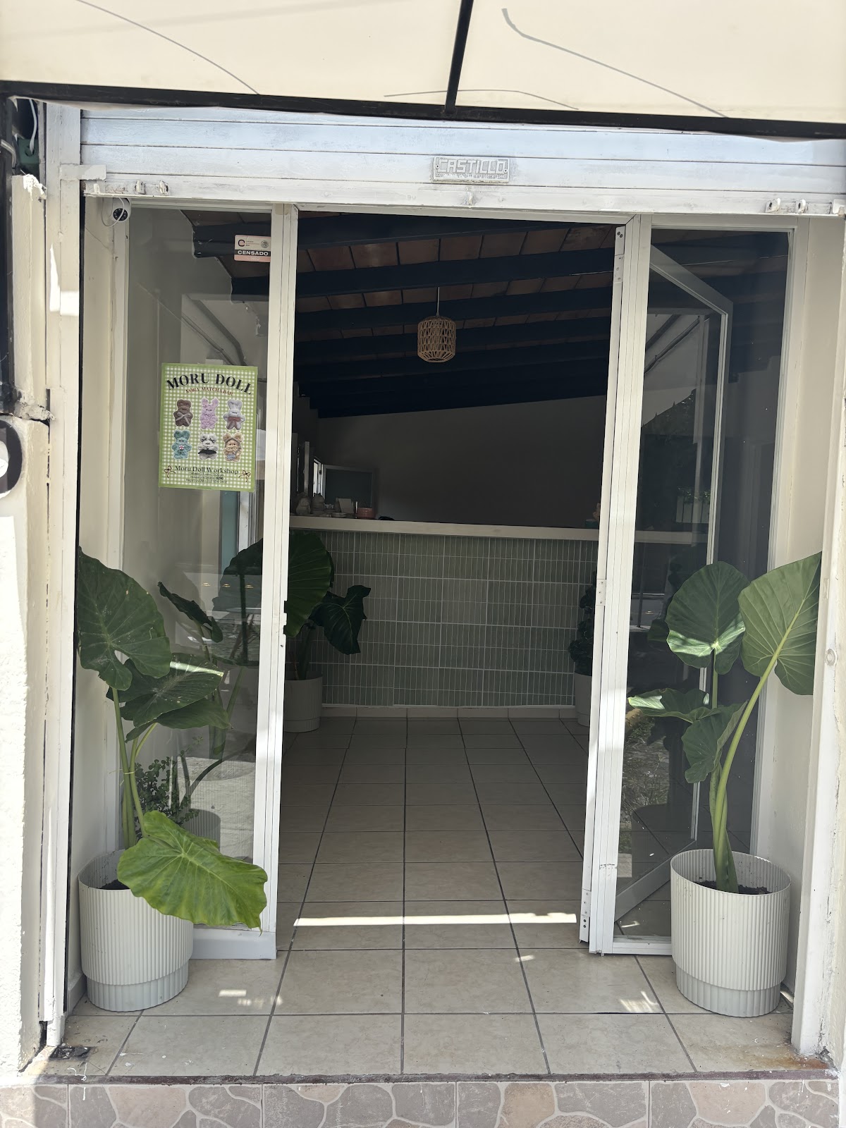 leetx-google-photo-50024-8 leetx-google-photo-50024-8