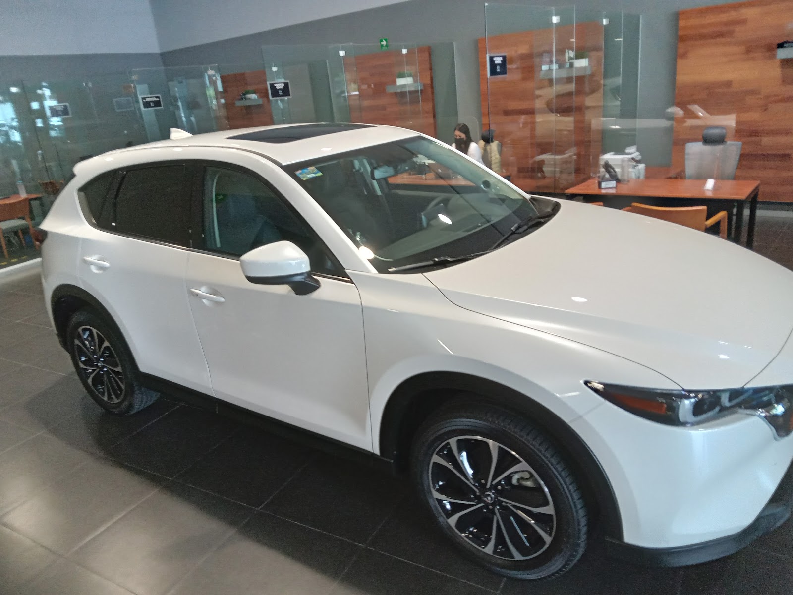 leetx-google-photo-50125-3 leetx-google-photo-50125-3