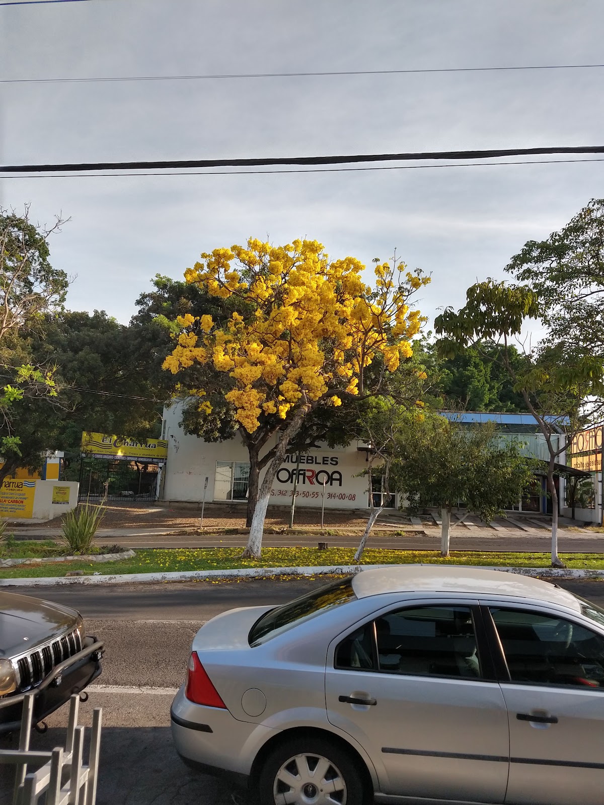 leetx-google-photo-50125-6 leetx-google-photo-50125-6