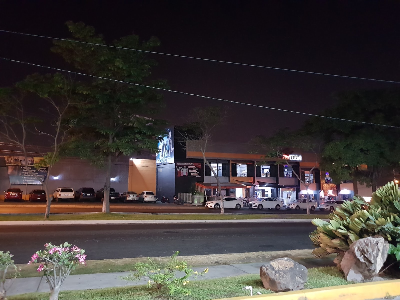 leetx-google-photo-50125-8 leetx-google-photo-50125-8