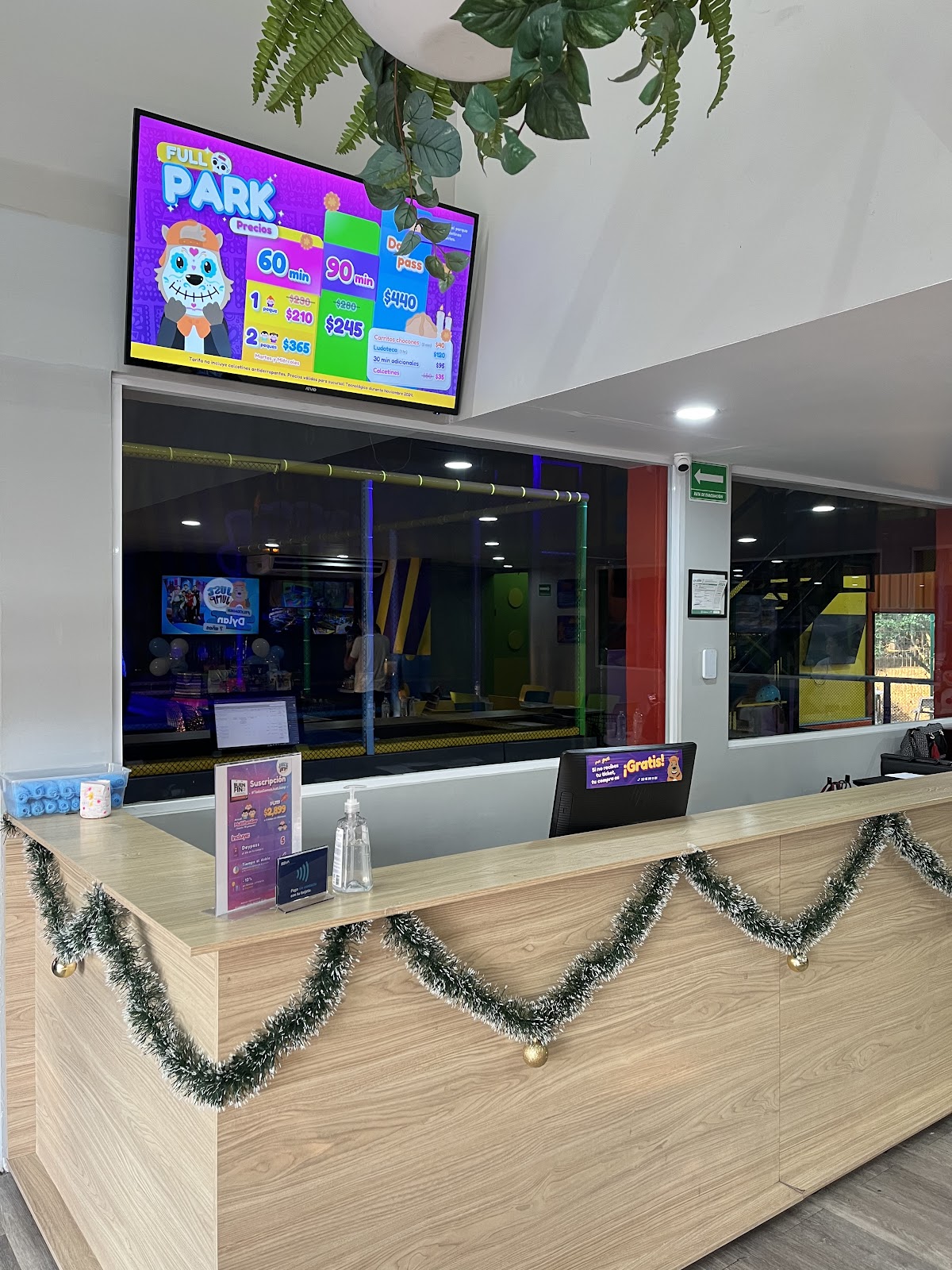 leetx-google-photo-50134-3 leetx-google-photo-50134-3