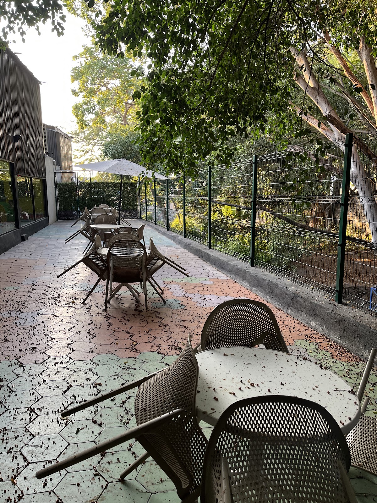 leetx-google-photo-50134-6 leetx-google-photo-50134-6