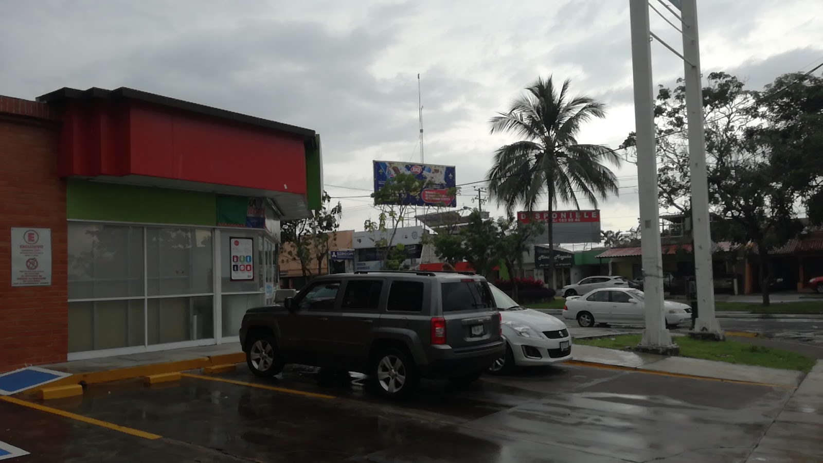 leetx-google-photo-50143-8 leetx-google-photo-50143-8