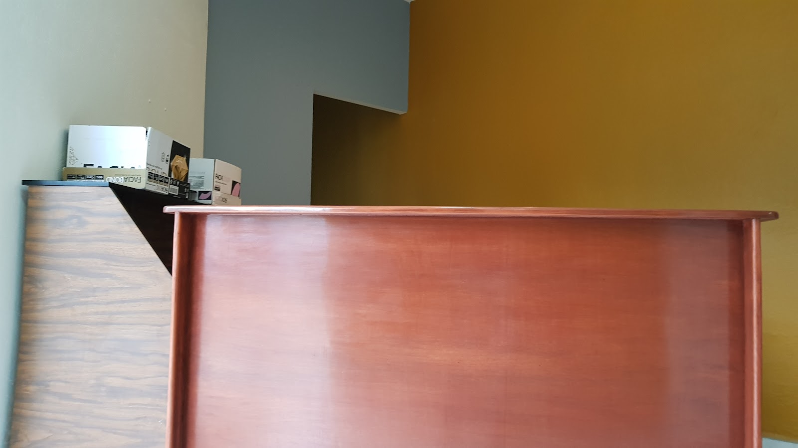 leetx-google-photo-50158-4 leetx-google-photo-50158-4