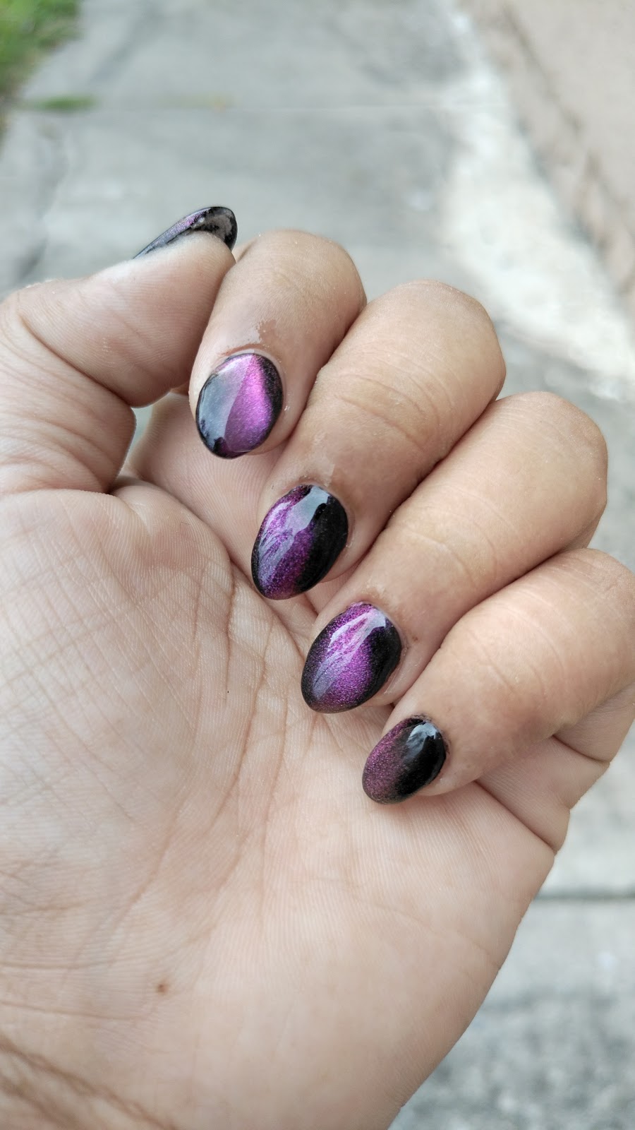 leetx-google-photo-50255-5 leetx-google-photo-50255-5