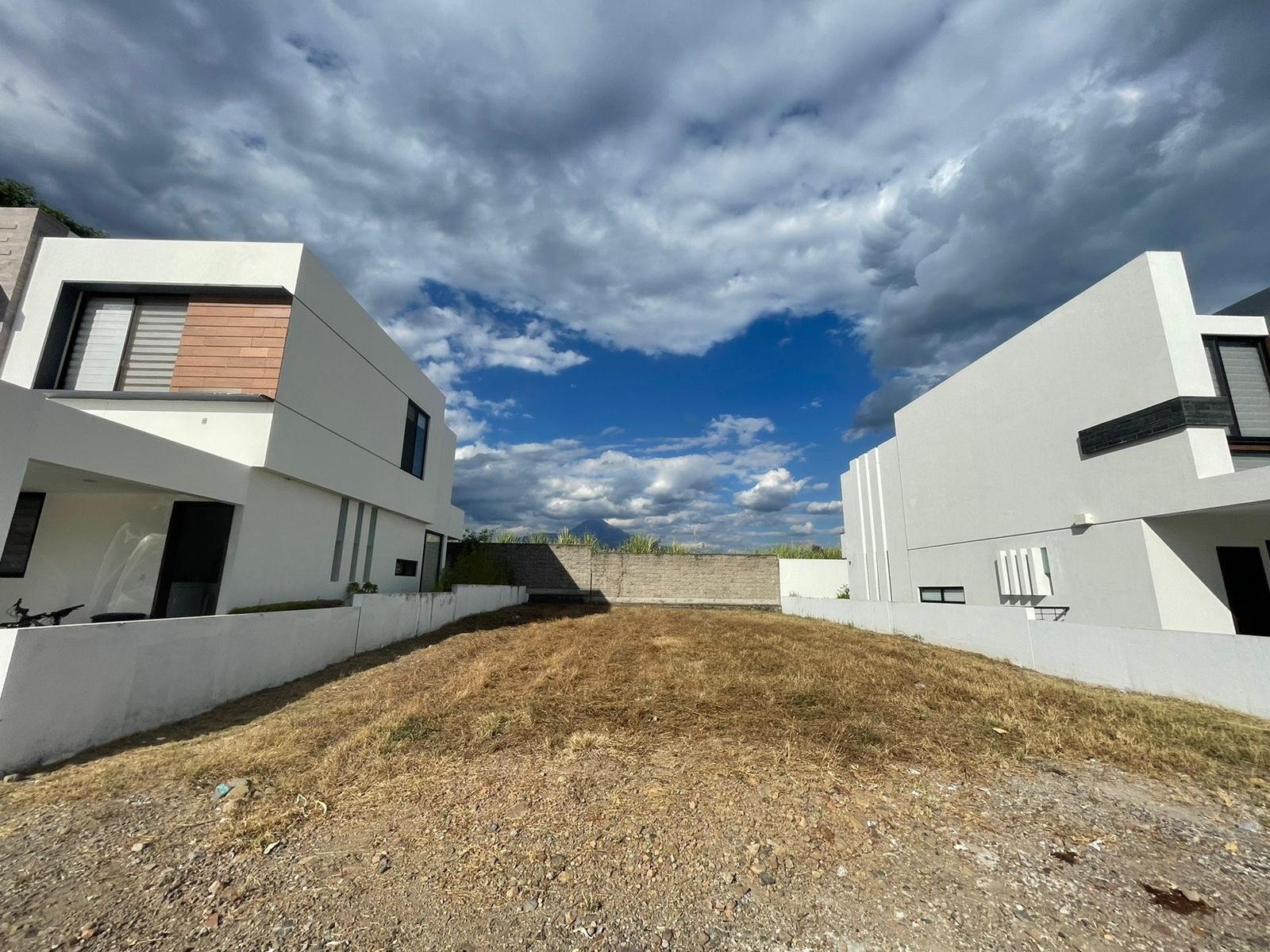 leetx-google-photo-50274-5 leetx-google-photo-50274-5