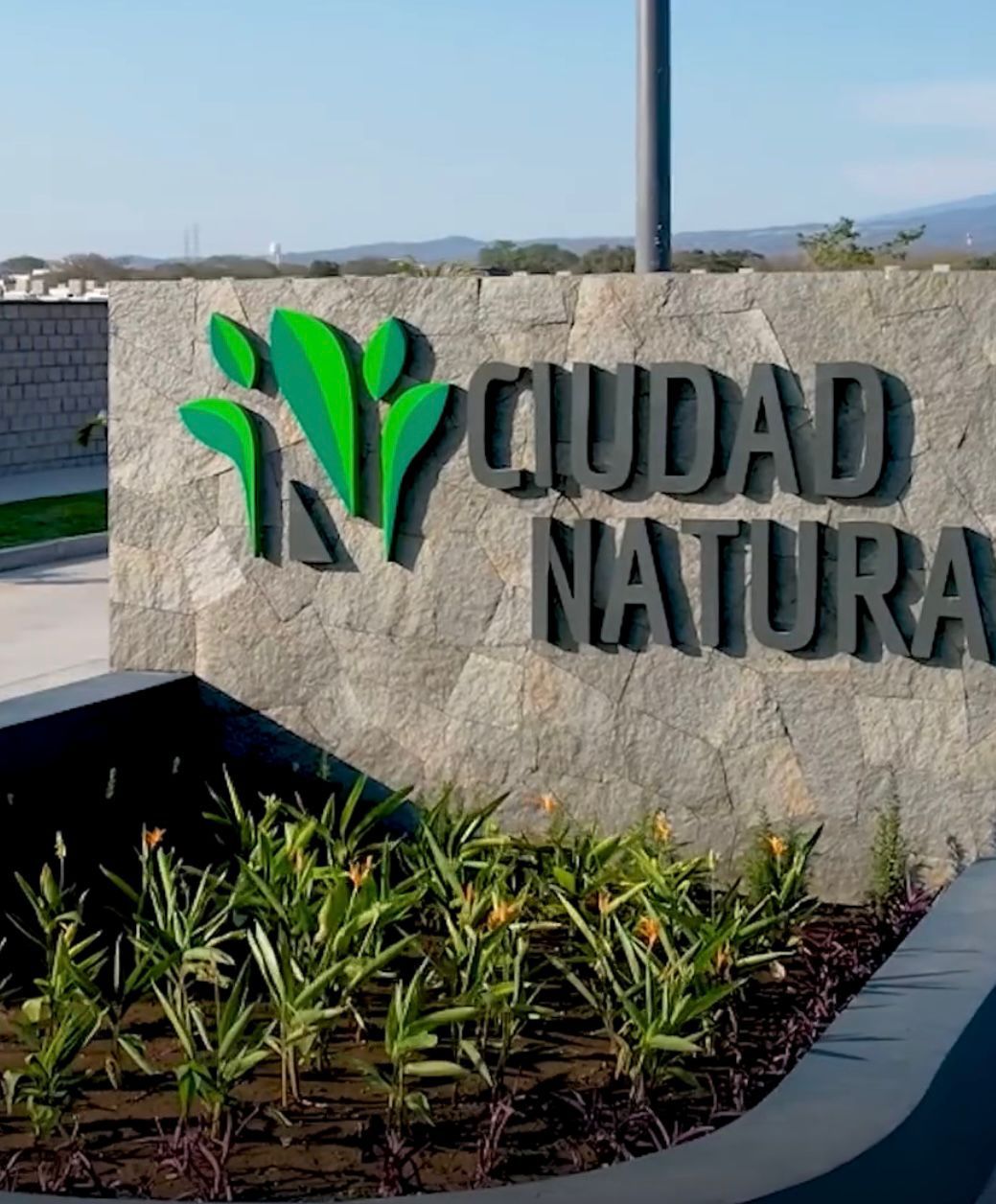 leetx-google-photo-50274-6 leetx-google-photo-50274-6