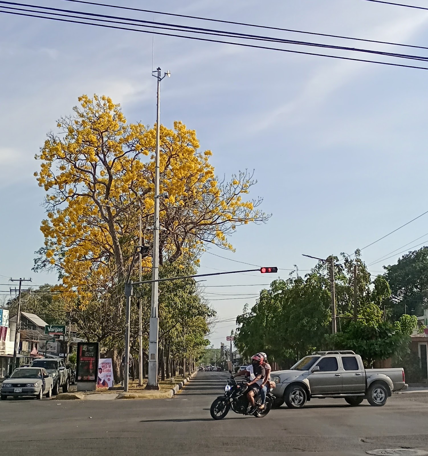 leetx-google-photo-50283-3 leetx-google-photo-50283-3