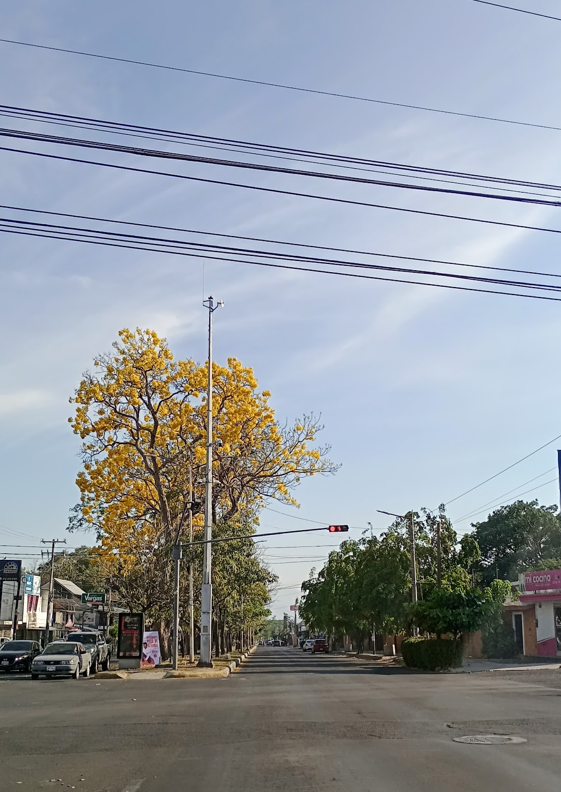 leetx-google-photo-50283-4 leetx-google-photo-50283-4