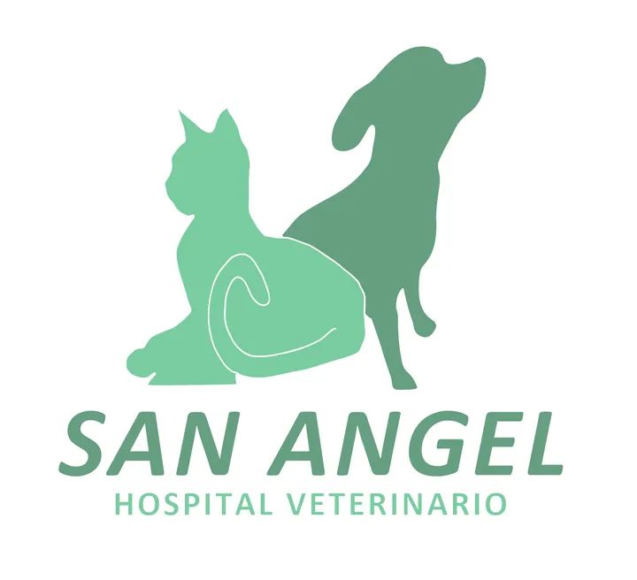 leetx-google-photo-50311-2 leetx-google-photo-50311-2