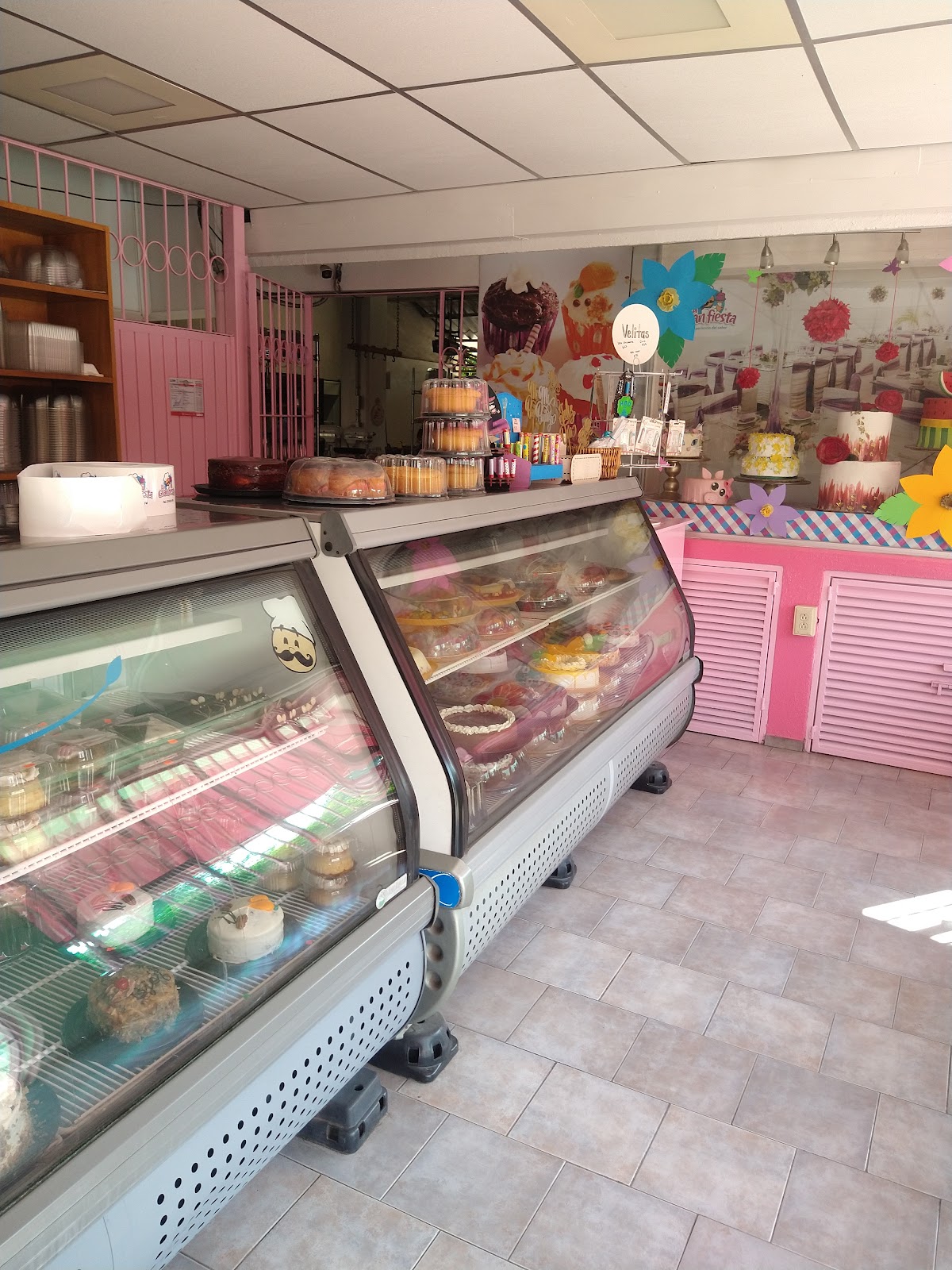 leetx-google-photo-50382-2 leetx-google-photo-50382-2