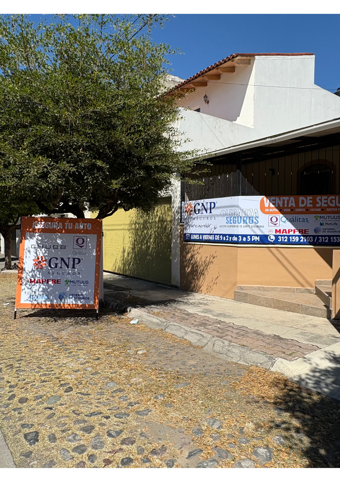 leetx-google-photo-50441-4 leetx-google-photo-50441-4