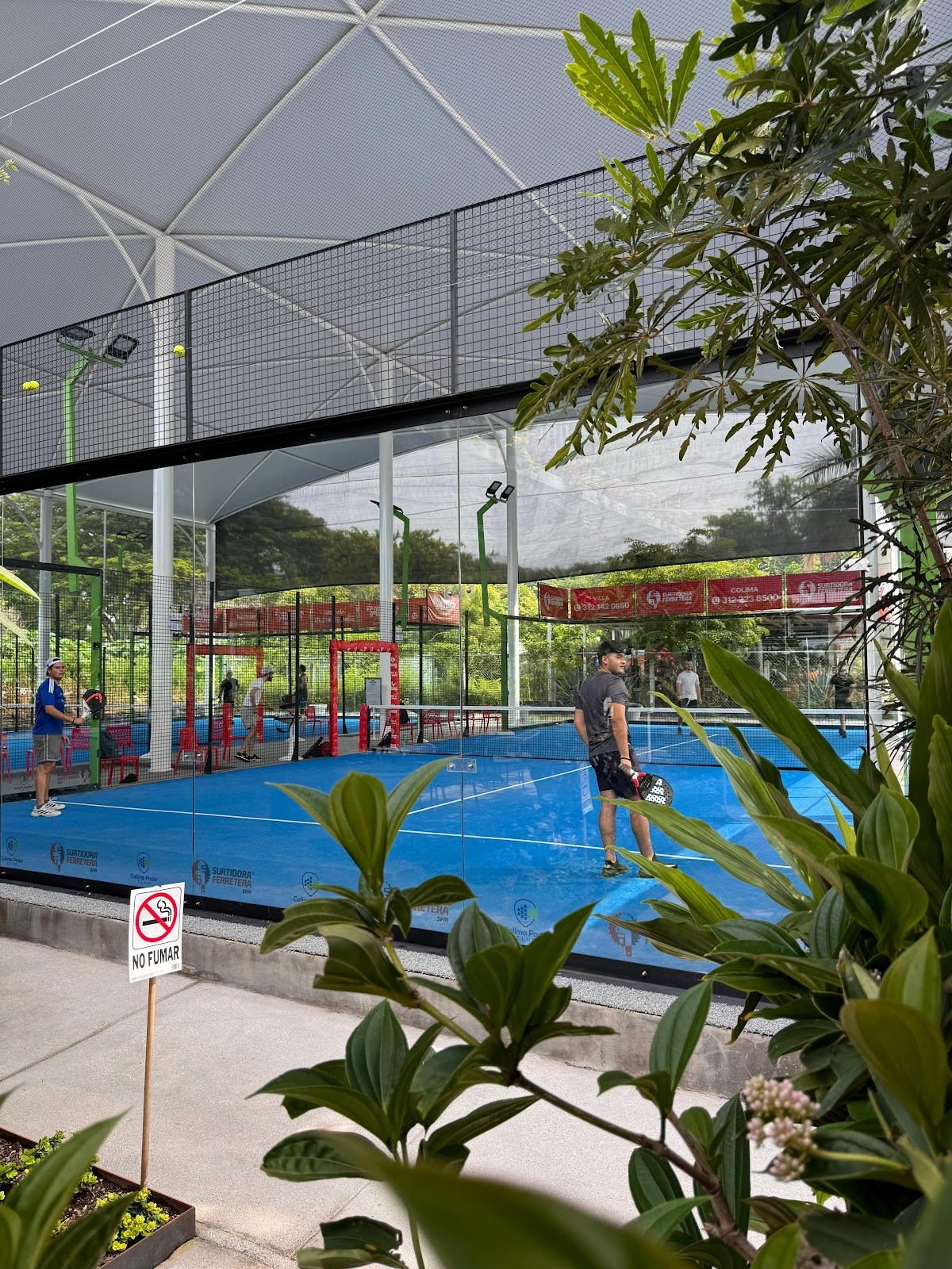 leetx-google-photo-50590-3 leetx-google-photo-50590-3