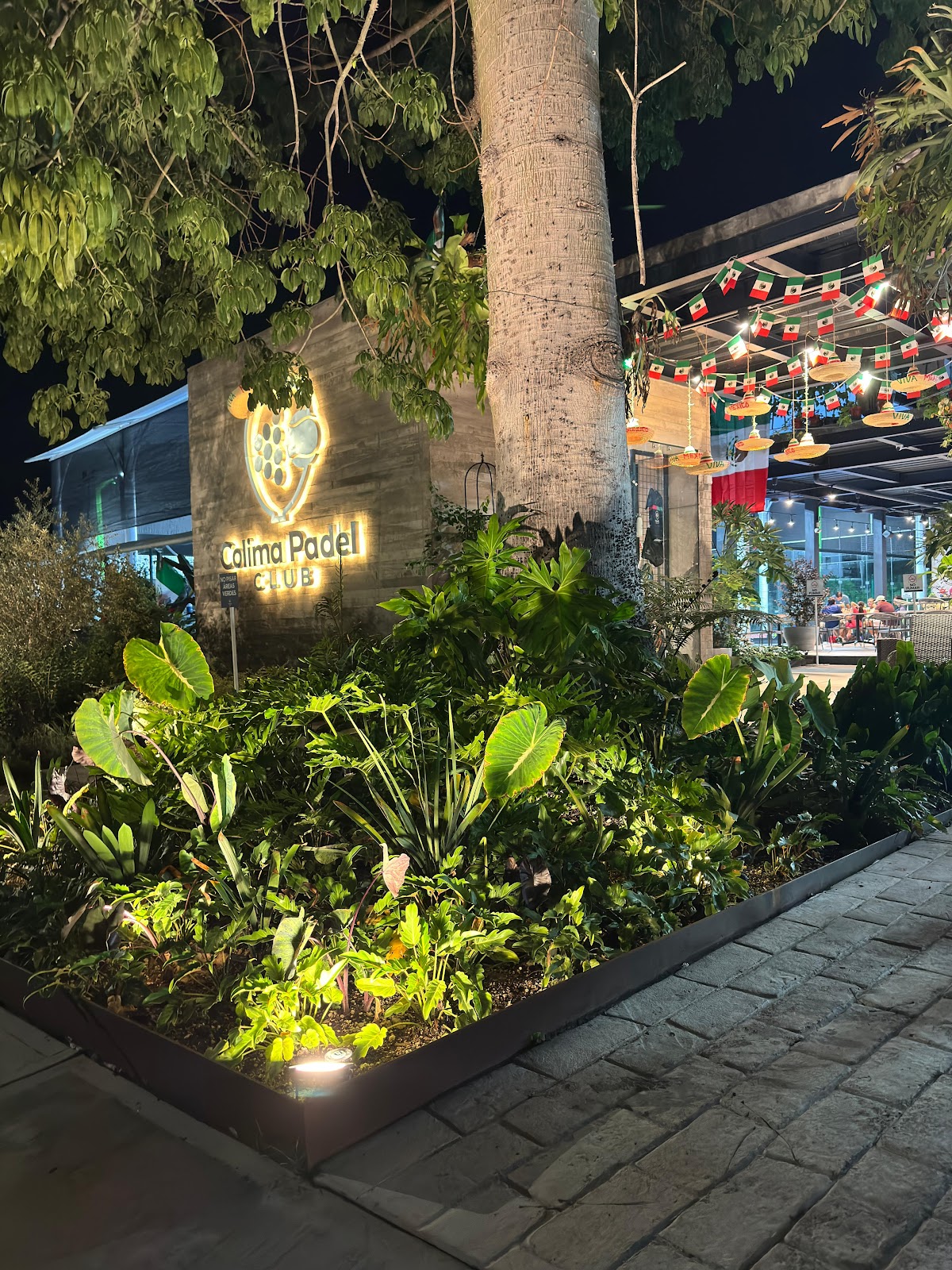 leetx-google-photo-50590-4 leetx-google-photo-50590-4