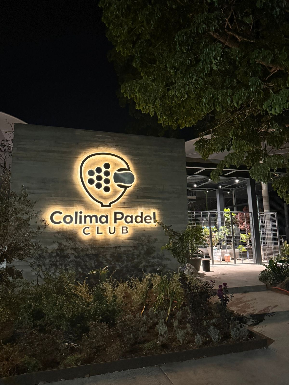 leetx-google-photo-50590-5 leetx-google-photo-50590-5